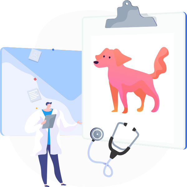 verified contacts of veterinarians